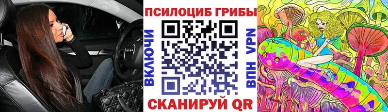 Купить закладки  Дорогобуж  Псилоцибиновые грибы MAGIC MUSHROOMS 